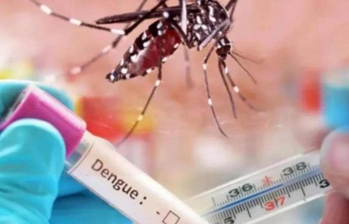Alert in Santa Marta for 398 active cases of dengue
