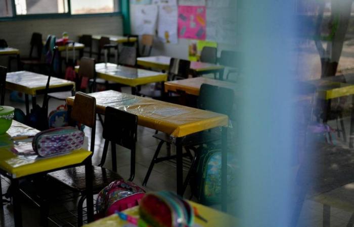 Educational authorities must address bullying from teachers to students in SLP: representative – El Sol de San Luis