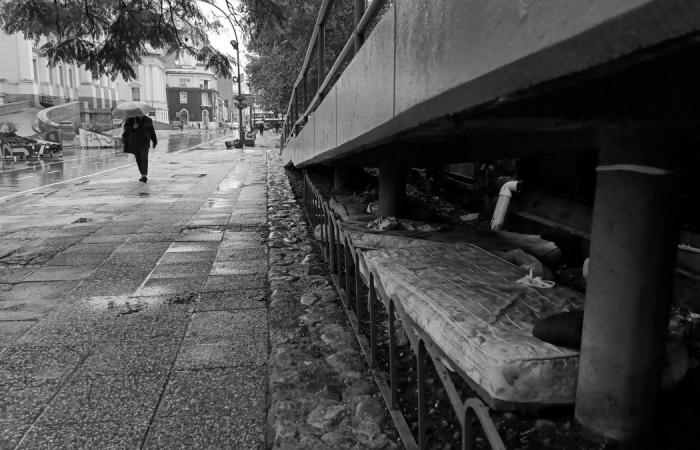 Out in the open: large increase in homeless people