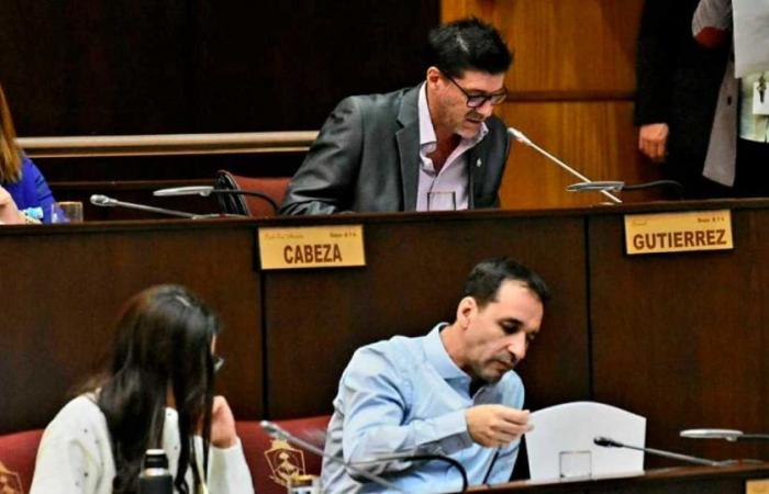 Teacher presenteeism: what will happen when it is discussed in the Neuquén Legislature