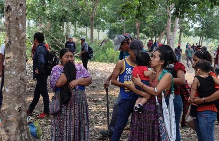 Forced evictions continue to impact communities in Guatemala (+Photos)