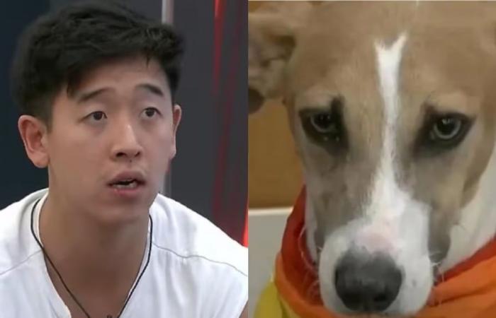 Video: what happened to Big Brother’s dog Arturo after the elimination of Martín Ku