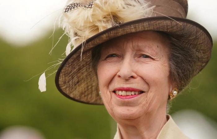 Princess Anne admitted to hospital after suffering an accident on her Gatcombe Park estate