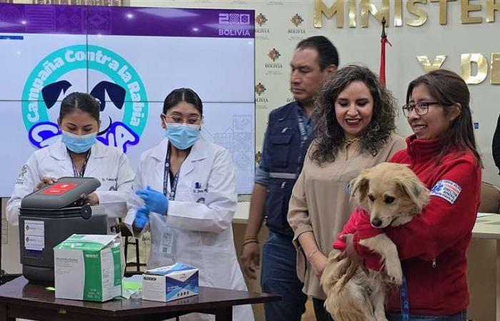 Vaccination campaign against canine rabies launched; 27% of the doses are destined for Santa Cruz