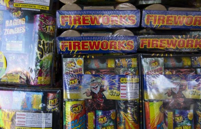 Los Angeles police call in the bomb squad to set off one of the largest fireworks explosions in state history.