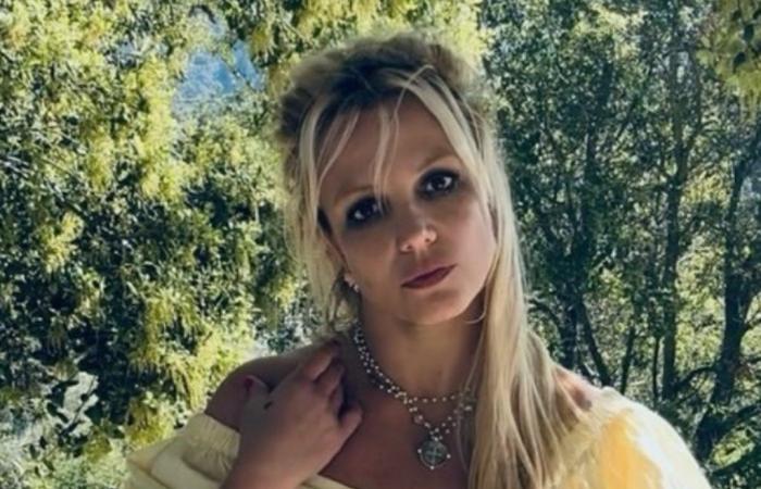 Britney Spears feels like the “most harassed person in the world”