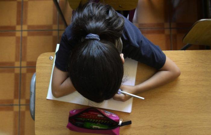 They confirm 532 complaints of sexual abuse by teachers against minors in Amazonas, Peru