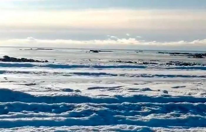 Extreme cold in Tierra del Fuego: the sea waves froze in the north of the province