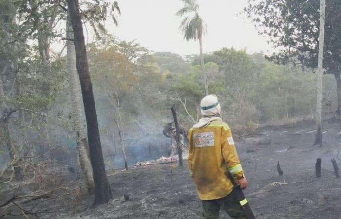 Government decides to intervene in fires in Santa Cruz because it says that the capacity of the Government was exceeded