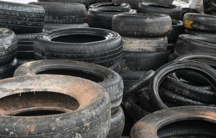 More than 200 tires recovered in Villa Jardín de Reyes