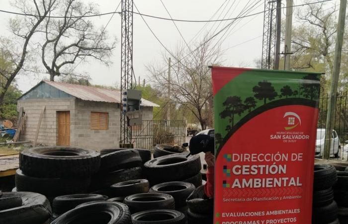 More than 200 tires recovered in Villa Jardín de Reyes