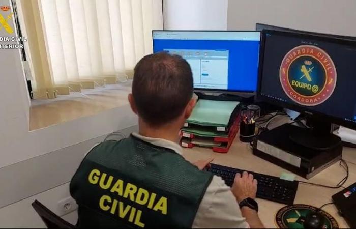 CÓRDOBA EVENTS | Two people arrested for scamming online by contracting in the name of third parties