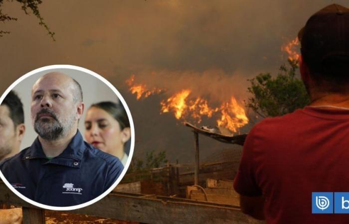 “He laughed”: Conaf director accused of ignoring warning for mega fire in Valparaíso region | National