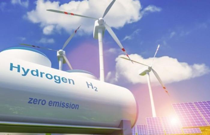 KKR partners with IGNIS to develop green hydrogen and ammonia projects