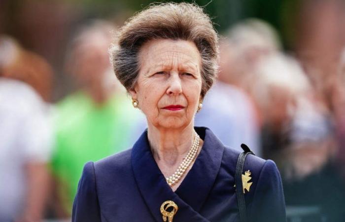 British experts raise alarm bells about the true situation of Princess Anne after her admission