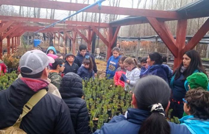 Cochrane students were trained in environmental education, thanks to CONAF Aysén