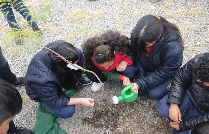 Together with students, the Municipality planted trees in Plaza España – News
