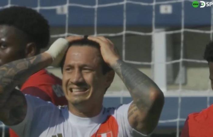 Goal disallowed by Gianluca Lapadula after an impeccable header in Peru vs Canada for Copa América 2024