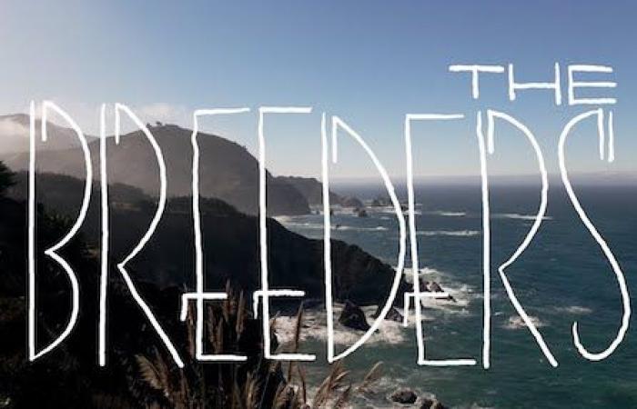 The Breeders: Present the Live In Big Sur acoustic session