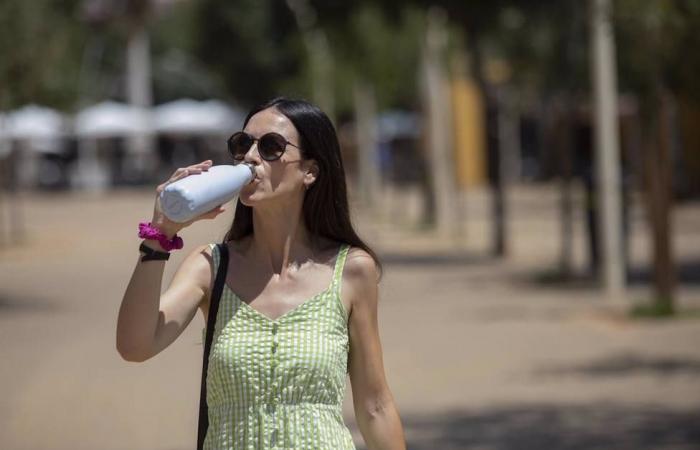 Córdoba faces its third consecutive day of high temperatures with a yellow alert – Córdoba
