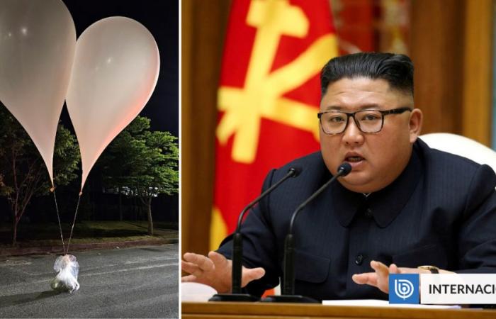South Korea reveals presence of parasites in balloons with garbage sent from the North | International