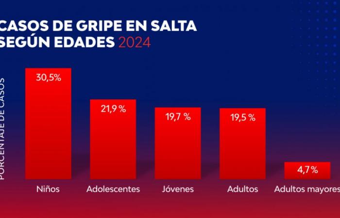 More than half of the flu cases in Salta are in children and adolescents