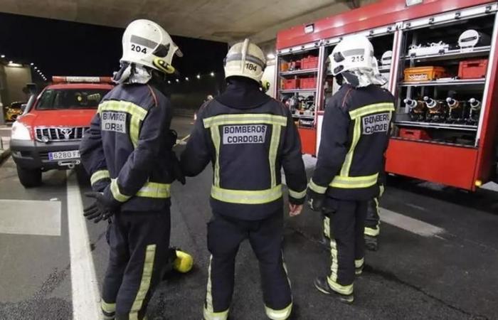 GRAN CAPITÁN CÓRDOBA FIRE | Fire outbreak in Gran Capitán at dawn when some hedges burned