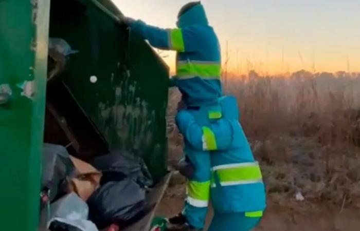 the funny video of the collectors who “froze” in Córdoba