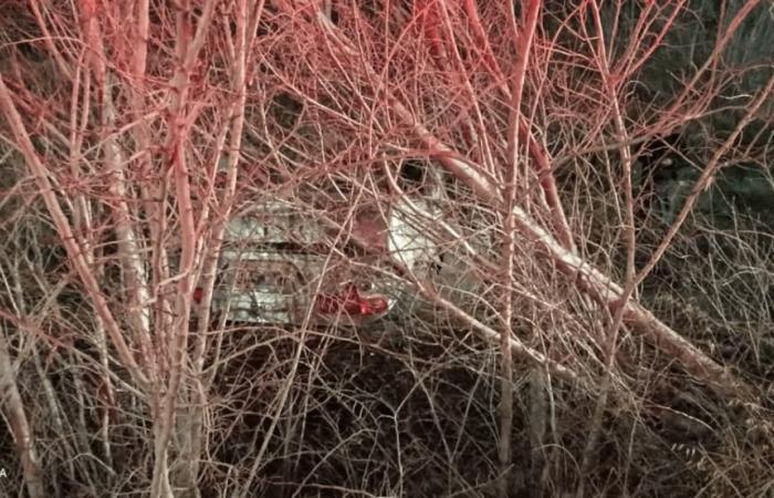 Shocking rollover on Route 22 in Plottier: “A young woman was taken to the hospital”
