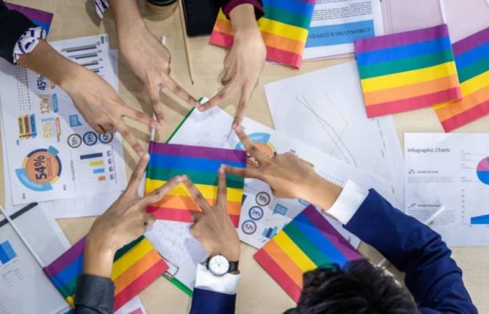 Spain, pioneer country against LGTBI employment discrimination | Legal
