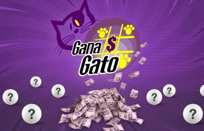 Gana Gato results: winners and prize numbers
