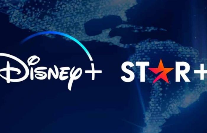 The new Disney has arrived! Disney Plus and Star Plus join together on a single platform | disney plus | star plus | disney star account | CHECK