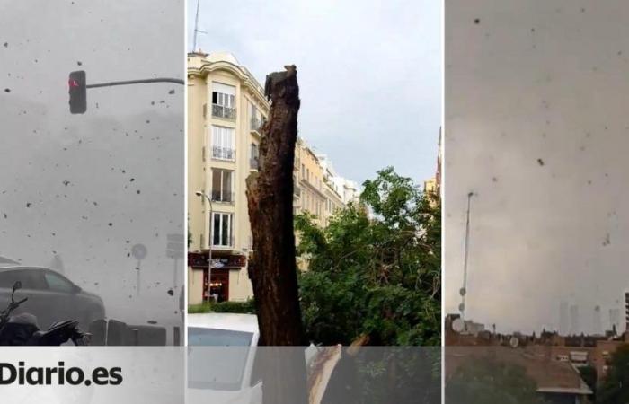 Videos of the explosion that caused chaos in Madrid: broken trees and a drop of 20ºC due to the storm on Tuesday