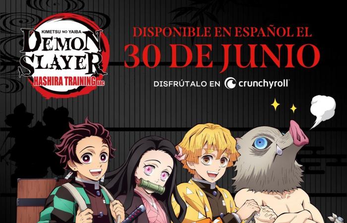 Demon Slayer: the Spanish dubbing of season 4 confirms its release date
