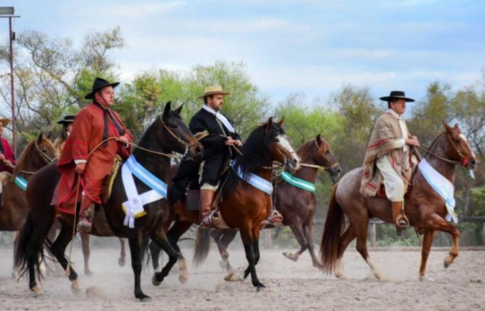 The Peruvian Paso Horse Competition is coming in Jujuy: the details