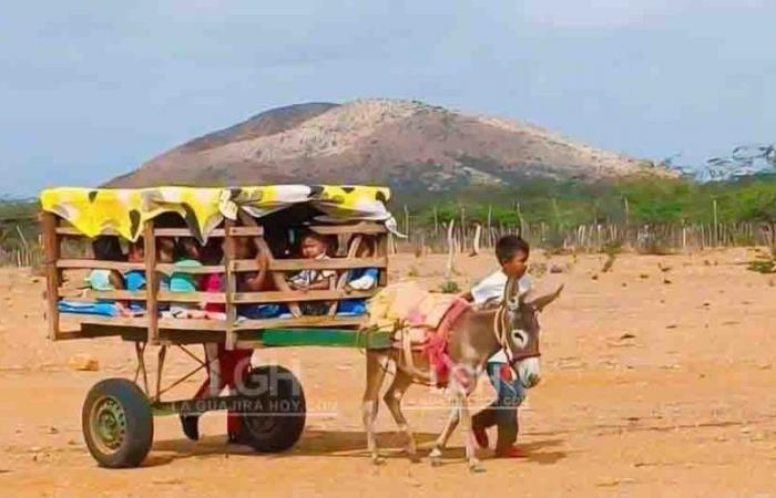 A donkey cart was enabled as school transportation in Alta Guajira
