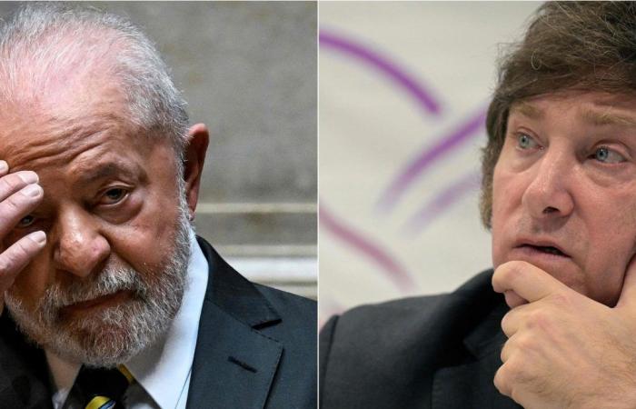 Lula da Silva affirmed that Javier Milei has to apologize to him and to Brazil: “He said a lot of nonsense”