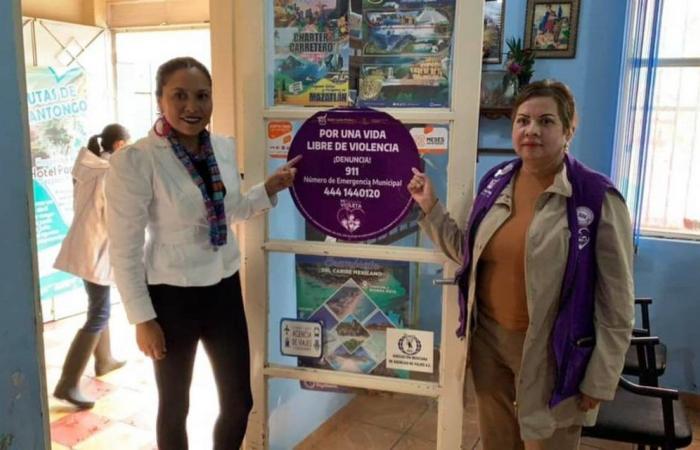 Travel agencies in the capital are already “violet points”; what does it mean? – The Sun of San Luis