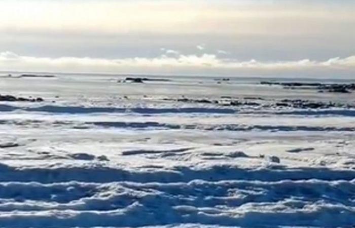 The sea froze in Tierra del Fuego (video) –