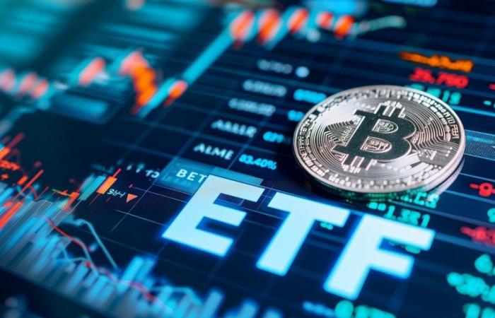 The negative streak for bitcoin ETFs is broken