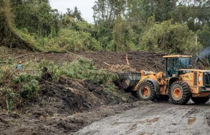 Ideam announced that 559 municipalities are at risk due to landslides: Antioquia, Boyacá and Bolívar, on alert