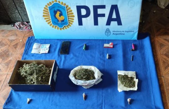 The Federal seizes a large amount of marijuana in Mendoza