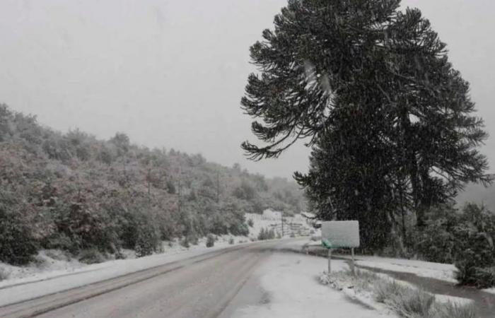 Video | Closure of the passes to Chile and Route 40: the panorama of this Thursday with the alert for snow and wind