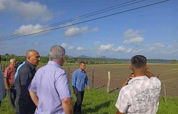 Cuban president returns to Isla de la Juventud • Workers