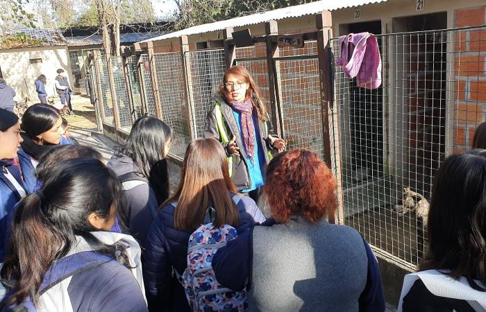Students from Illia and Castellanos schools visited the Adoption Center – News