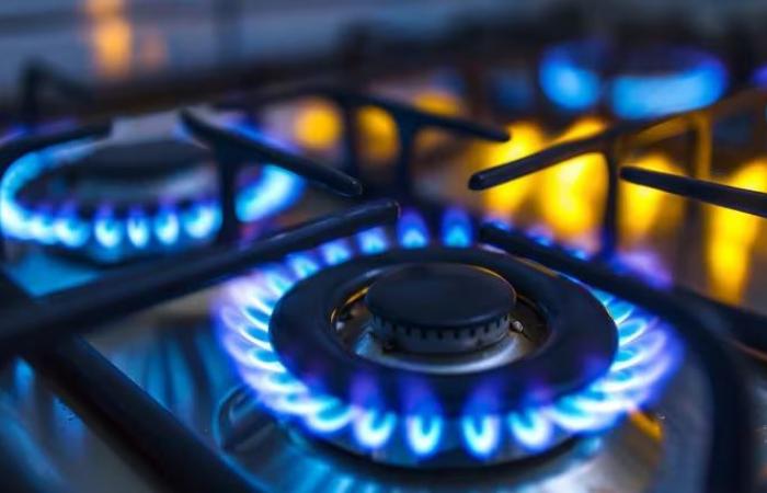 The Government freezes gas and electricity rates to avoid their impact on inflation