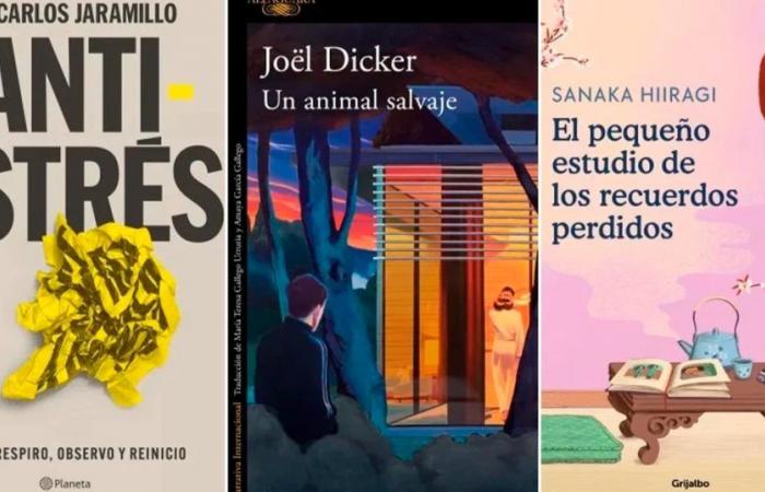 What to read this week: an anti-stress guide, Joël Dicker and the new phenomenon of Japanese letters