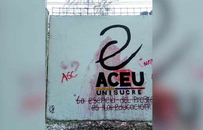Rector of Unisucre says that vandalism to the murals is not