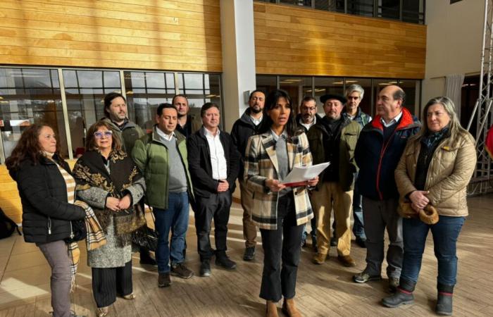 Aysén unions declare concern over imminent energy impacts in the region