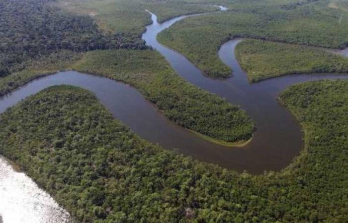 Why isn’t any bridge crossing the Amazon River?